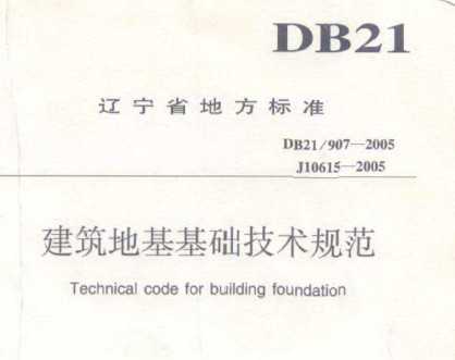 DB21/907-2005 ػ淶