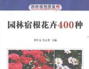 ԰޸400