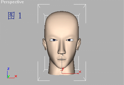 3ds Max ˶׽MotionCapture ľ 3DSMAXŽ̳