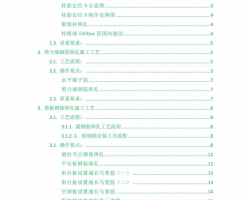 ṹʩռҪPDF 59P